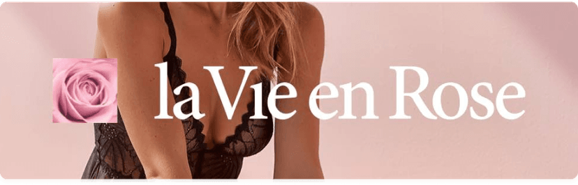 Bikini | la Vie en Rose Womens Seamless Bikini Panty Dark Pink